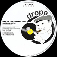 Soul Groove &amp; Andrea Erre Feat. Tommie Cotton - No Rules (Original Mix) by SOUL GROOVE