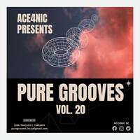 Pure Grooves Vol.20 Mixed By ACE4NIC [Apr'22 HeavyHittz] by Pure Grooves Music SZ