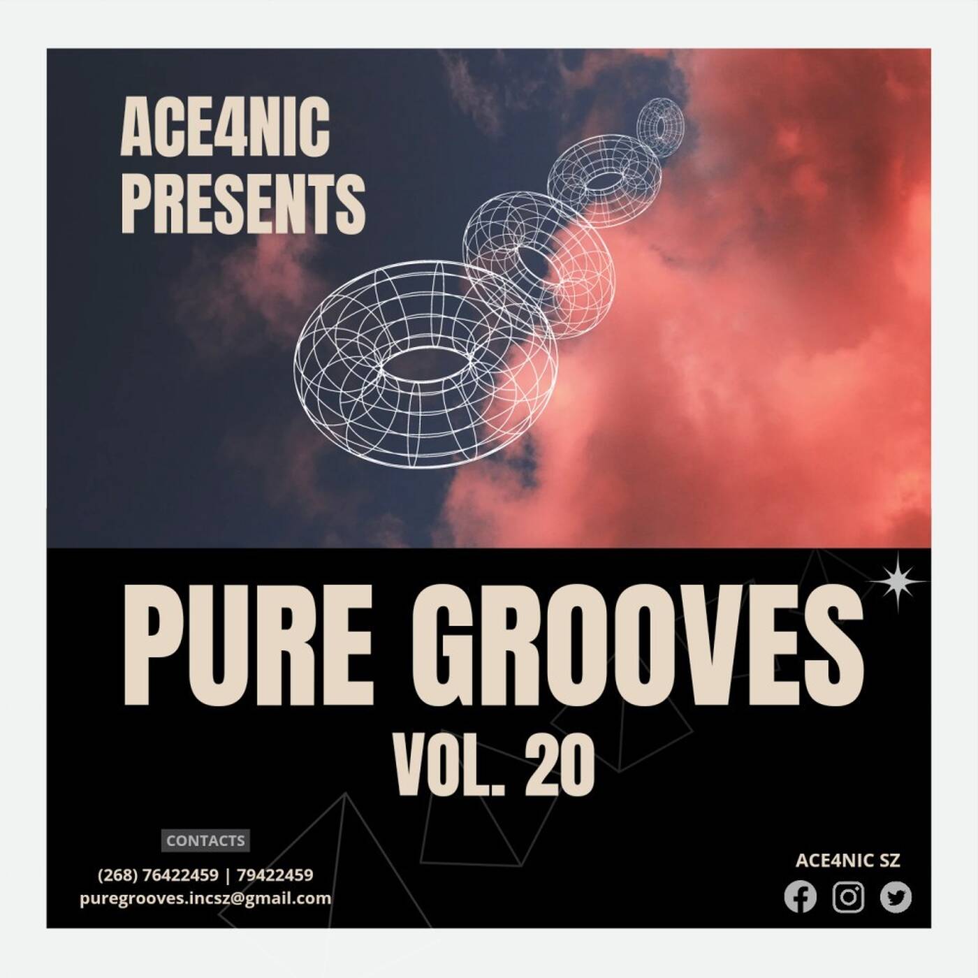 Pure Grooves Vol.20 Mixed By ACE4NIC [Apr'22 HeavyHittz]