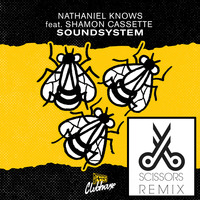 Nathaniel Knows - Soundsystem feat. Shamon Cassette (Scissors Remix) by Scissors Music