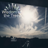 Wisdom of the Trees - Tomorrow Never Knows - Wisdom of the Trees & Nigel Boyd Robinson (The Beatles cover) single edit  by Will Elmore / Wisdom of the Trees / C-mor Clinic