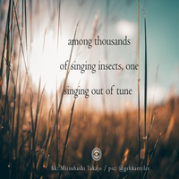 Among Thousands Of Singing Insects, One Singing Out Of Tune (NaviarHaiku 244) by OneAmbient4