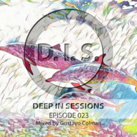 Episodio 023 - Deepinsessions#Gustavo Colman by Deep In Sessions