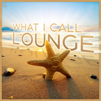 What I Call Lounge Vol.5 by Emre K.