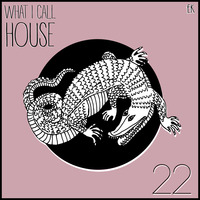 What I Call House Vol.22 by Emre K.
