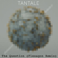 Tantale - The Question (Flexagon Remix) by Flexagon