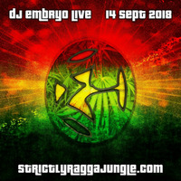 DJ Embryo - Strictly Ragga Jungle Radio Live 4-1 by DJ Embryo