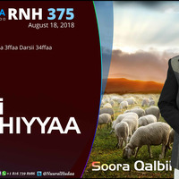 RNH 375  August 18, 2018, Soora Qalbii by NHStudio