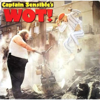 WOT (Captain Sensible cover) by Kaptain Bigg