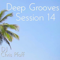 Deep Grooves Session 14 by DJChrisPfaff