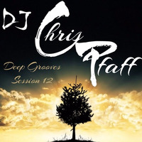 Deep Grooves Session 12 by DJChrisPfaff