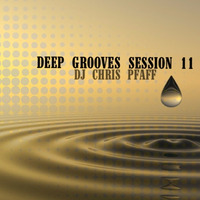 Deep Grooves Session 11 by DJChrisPfaff
