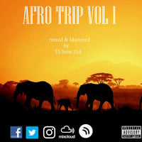 Dj Sane 254 - Afro Trip Vol 1 by DJ Sane 254