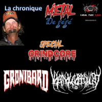 #3 - la chronique métal de gégé thrash - le grindcore & pornogrind by Canal Fuzz , Métal & Rock, la Webradio