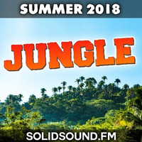 KUSHTI's Jungle mix, Summer 2018 by Solid Sound FM