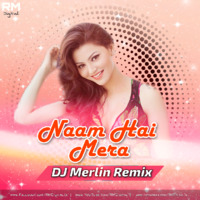 Naam Hai Mera (Remix - DJ Merlin by ReMixZ.info
