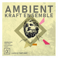 Ambient Kraft Ensemble [I] Laced by Todt Vogt  by Ambient Kraft Ensemble