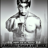 Dj Sub - Tupac Mix by Ground Zero Djz