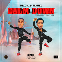 Mr Z Ft. 24 Flamez - Calm Down (Prod. By Teddy Hits) by Teddy Hits