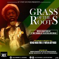 JOSE DREAD - GRASS-OF-THE-ROOTS by Selector Jose Dread