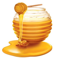 Honey (Fresh Vocal Take) by olivieraime