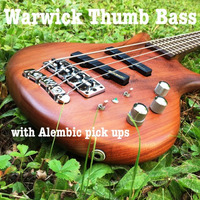 Warwick Thumb Bass (BO) With Alembic Pick Ups by Dave Giordano
