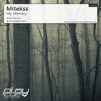 Preview_On Enlightenment by Mitekss