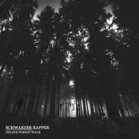 Schwarzer Kaffee - Insane Forest Walk by Schwarzer Kaffee