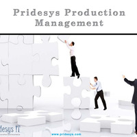 Production Management Module ERP | Pridesys IT Ltd by Pridesys IT Ltd.