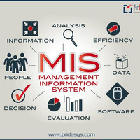Management Information System Software | Pridesys IT Ltd by Pridesys IT Ltd.