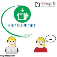 Erp Support Services | Pridesys IT Ltd by Pridesys IT Ltd.
