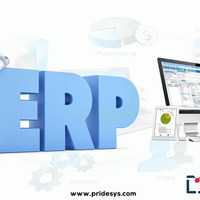 ERP Software Companies In Bangladesh | Pridesys IT Ltd by Pridesys IT Ltd.