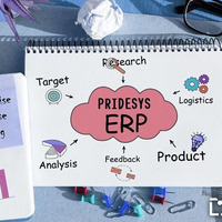 Pridesys ERP Software Deployment by Pridesys IT Ltd.