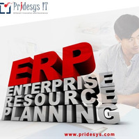 ERP Service Provider by Pridesys IT Ltd.