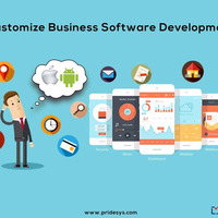 Customization of ERP Software | Pridesys IT Ltd by Pridesys IT Ltd.