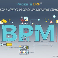ERP Business Process Management | Pridesys IT Ltd by Pridesys IT Ltd.