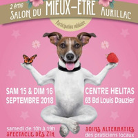 Le Salon Mieux Être by radio livre audio