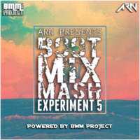 BOOT MIX MASH - EXPERIMENT 5 (2018) - ARN