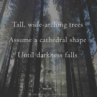 Sam Slattery - Assume a cathedral shape (naviar haiku 536) Sam Slattery by NaviarRec
