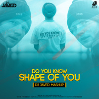Do You Know vs Shape Of You (Mashup) - DJ JaVed by DJ JaVed