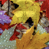 Ruky Deejay - Autumn Leaves by Ruky Deejay