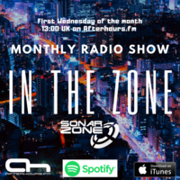 In the Zone - Episode 041 by Sonar Zone