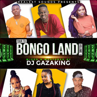 TOUR TO BONGO LAND MIXTAPE VOL _1 -  DJ GAZAKING THA ILLEST by DjGazaking