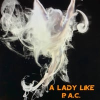 Welcome To Lady's House 2 by A Lady Like P.A.C.