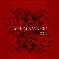 Mario Navarro (B - Fly #5)30 Day Mix Challenge by Mario Navarro