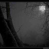 Driburg bei Nacht by Michael Ballus