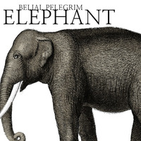 Elephant by Belial Pelegrim