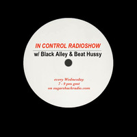 In Control: 28 Nov 2018 (Black Alley) by Beat Hussy