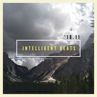 Intelligent beats '18.11 by STE