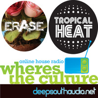 Simon DSA Labels Dig This #2 Erase Records & Tropical Heat by Deep South Audio